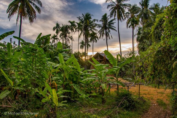 cambodia jungle village